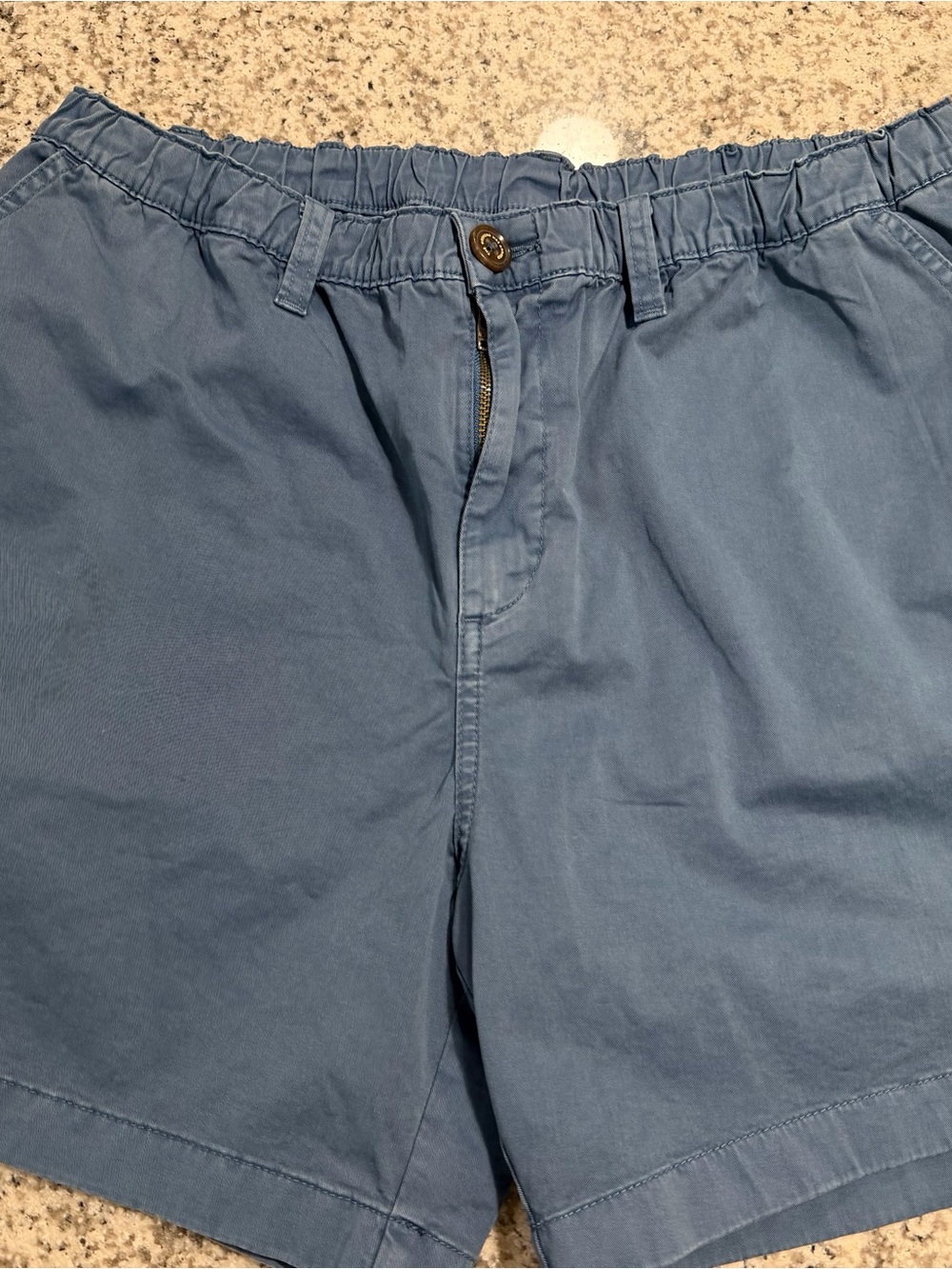 Men's Chubbies Blue Horizons Shorts